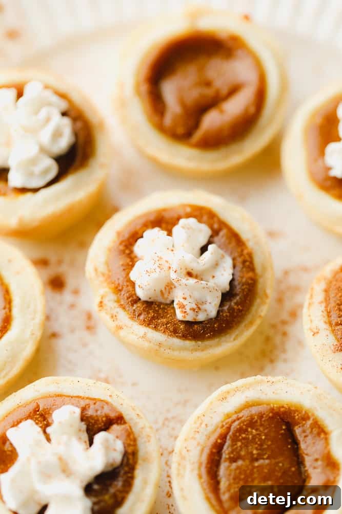 A close-up of mini pumpkin pies adorned with swirls of vegan whipped cream and a delicate dusting of cinnamon, highlighting the festive and inviting presentation.