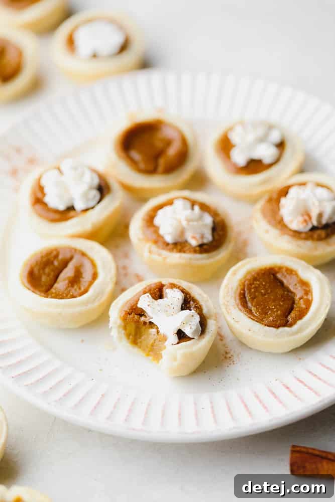 An array of mini pumpkin pies displayed on a plate, with one showing a delightful bite taken out, emphasizing their small size and perfect portioning for easy enjoyment.