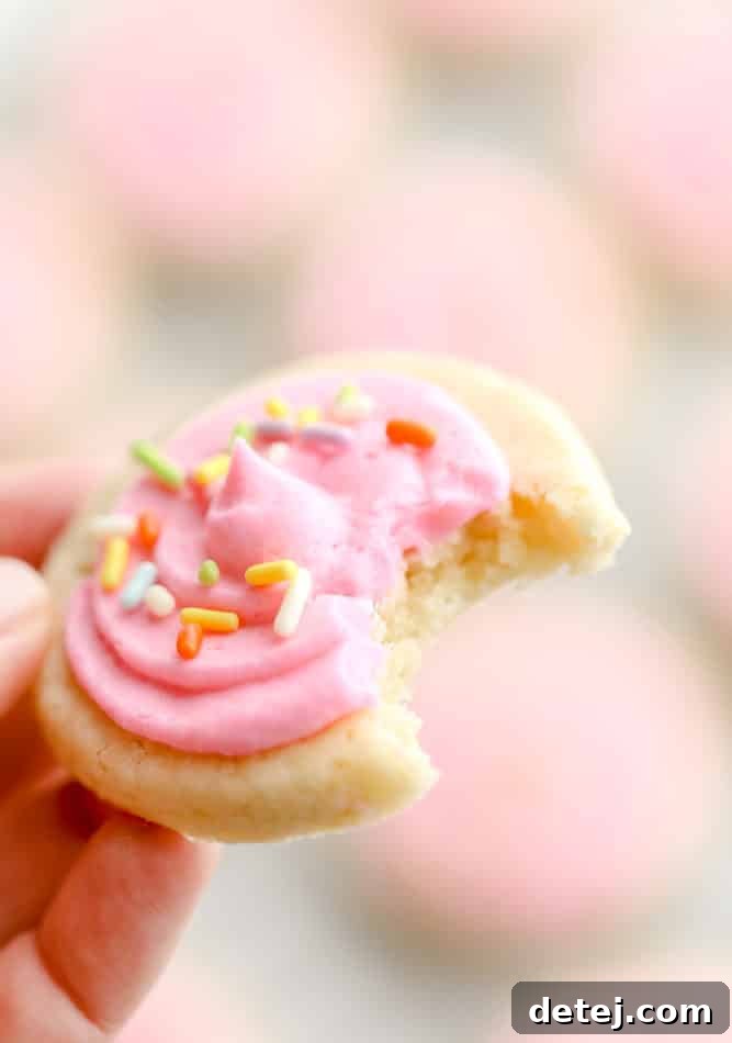 A hand holds up a single vegan Lofthouse cookie with pink frosting and colorful sprinkles, a bite clearly taken from it.
