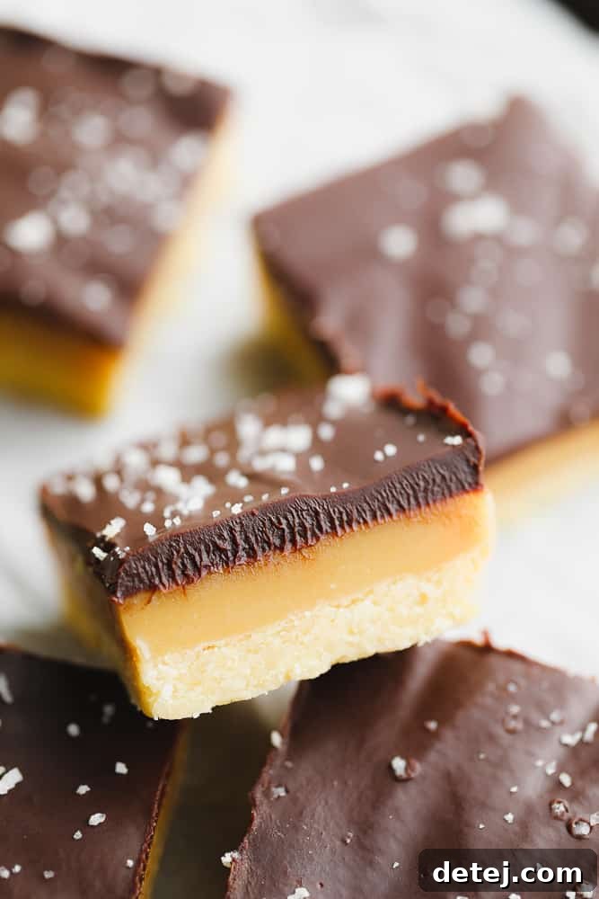 A detailed shot of a single vegan millionaire shortbread bar, showing the perfect layers of golden shortbread, luscious amber caramel, and glossy dark chocolate.