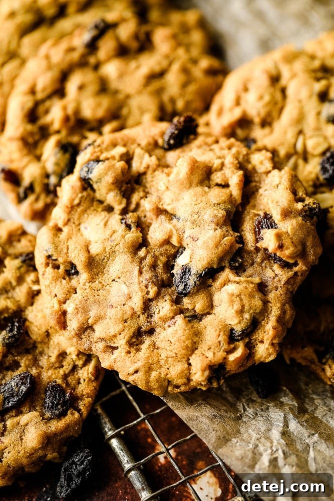 Close-up of a perfectly baked vegan oatmeal raisin cookie on a cooling rack, highlighting its texture and plump raisins.