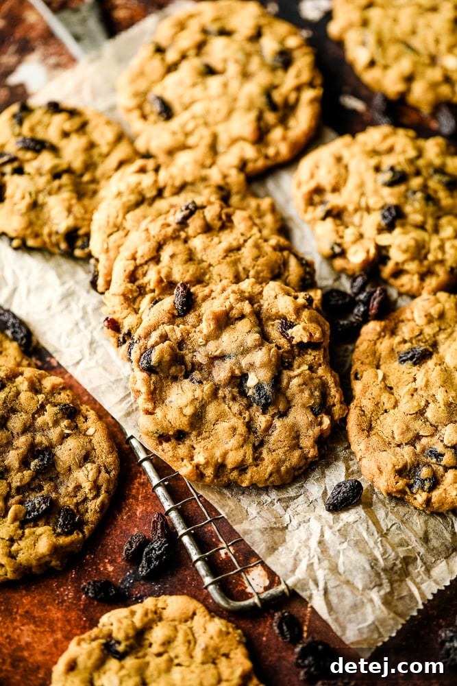 A generous display of freshly baked vegan oatmeal raisin cookies on a cooling rack, with scattered raisins around, showcasing their golden-brown edges and soft centers.