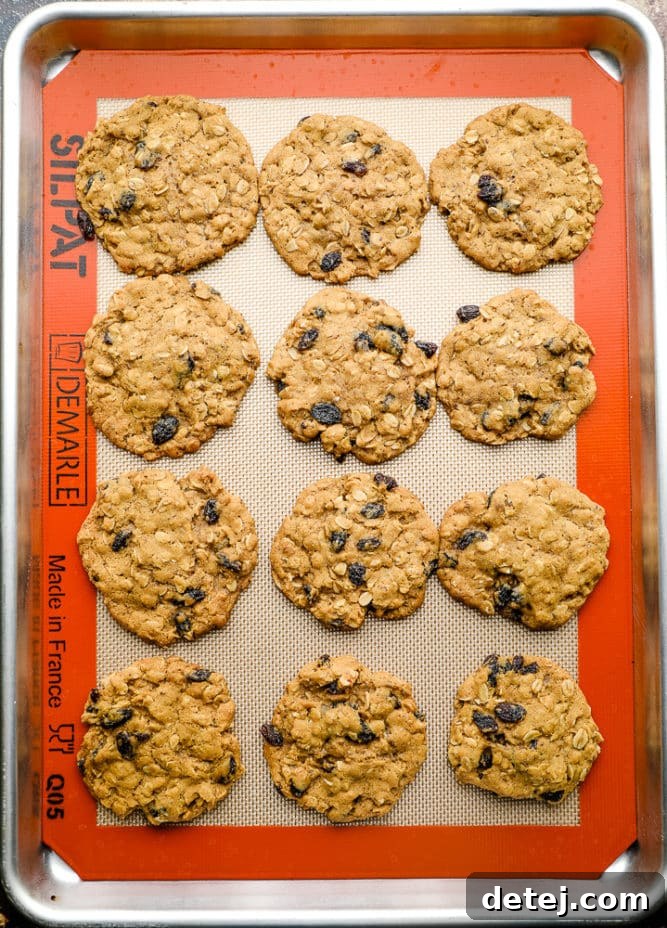 Freshly baked vegan oatmeal raisin cookies cooling on a silicone mat in a baking pan, showing their perfect golden-brown color.