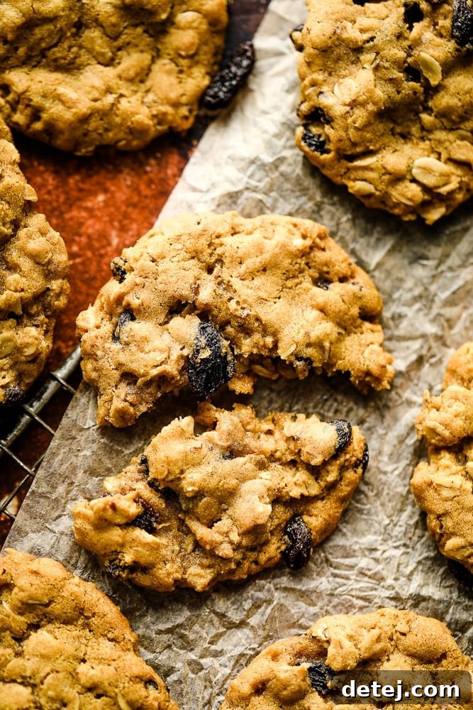 A broken vegan oatmeal raisin cookie showing its chewy interior, with other whole cookies nestled around it on parchment paper.