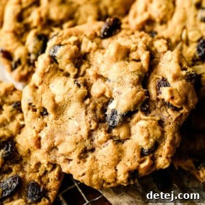 Close-up square image of a vegan oatmeal raisin cookie, highlighting its texture and round shape.