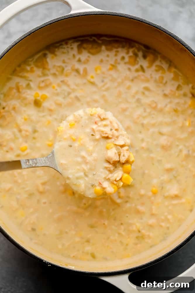 A large white pot filled with creamy vegan white chili, a ladle ready to serve, symbolizing warmth and comfort.