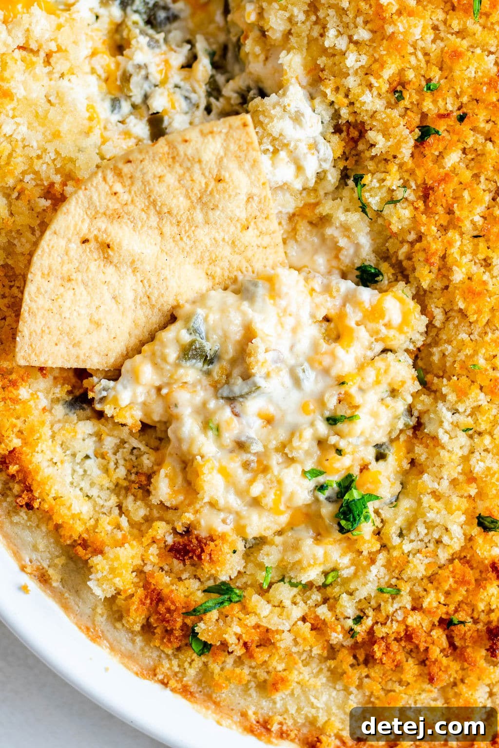 tortilla chip dipped into a white breadcrumb-covered dip.