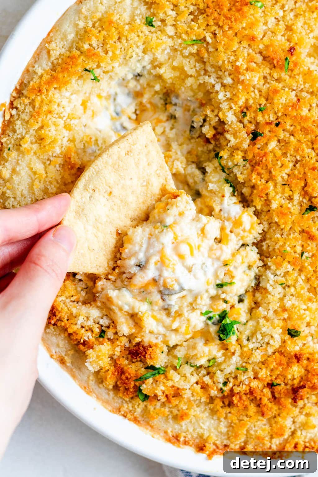 womans hand dipping a tortilla chip into a baked breadcrumb-covered white dip.
