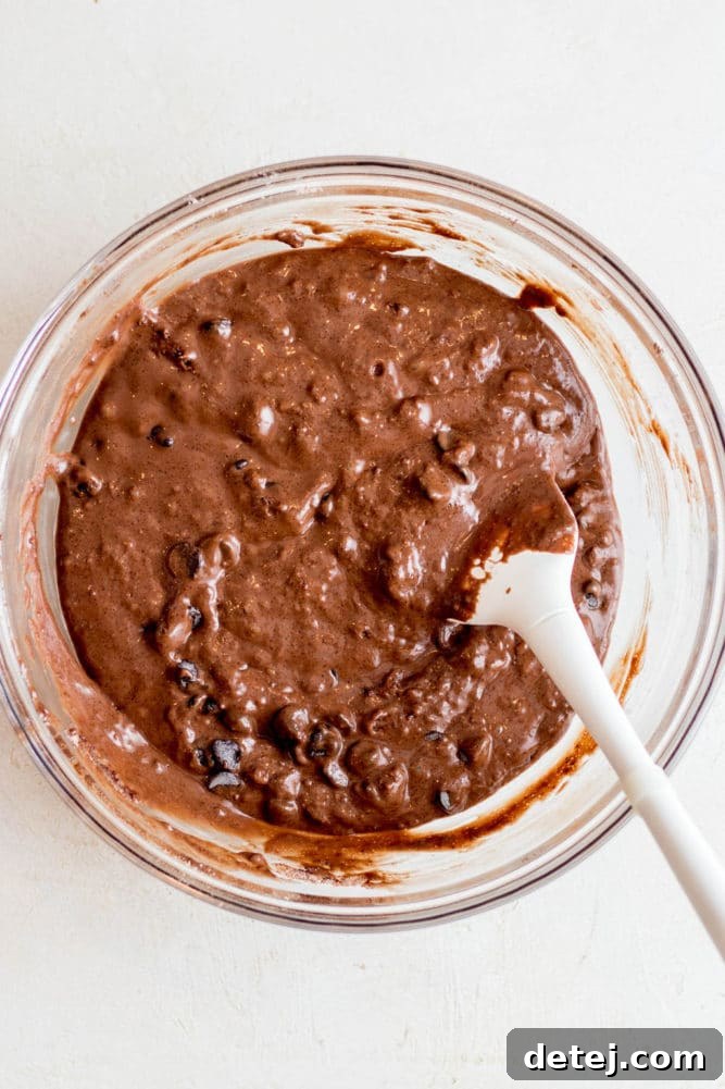 white spatula folding chocolate chips into chocolate muffin batter.