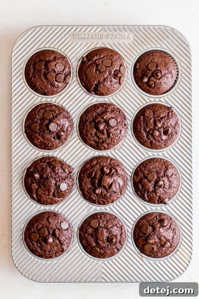 baked chocolate muffins in a metal baking tin.