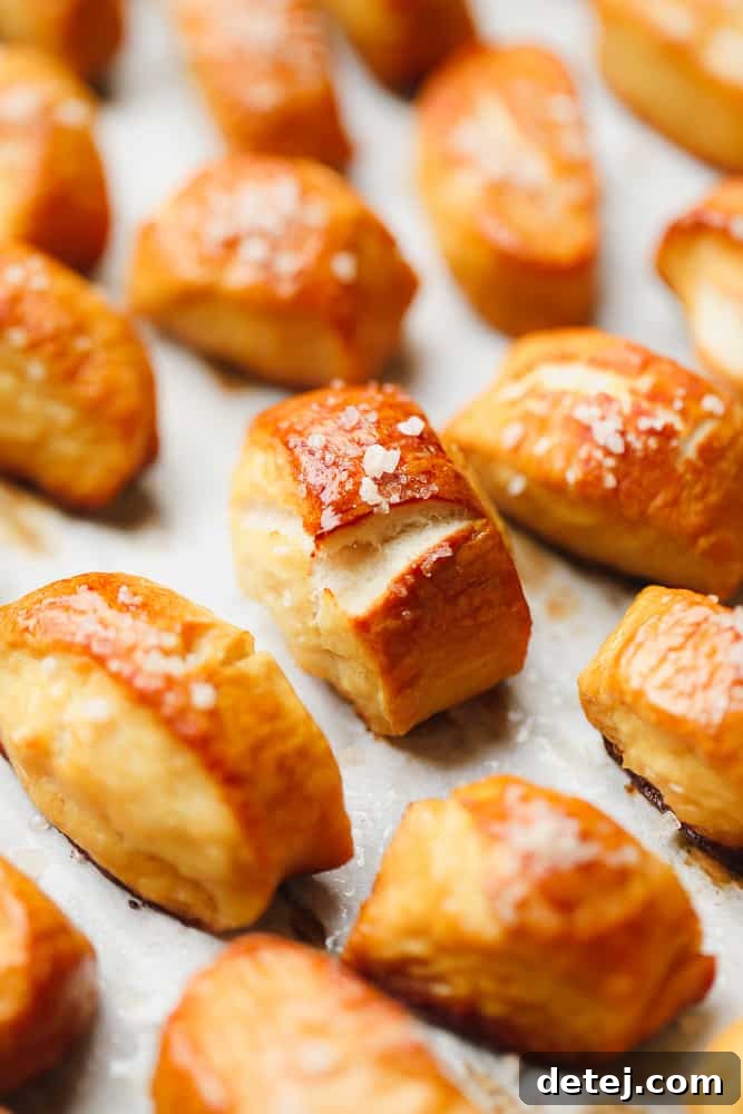 Freshly baked golden brown vegan pretzel bites sprinkled with coarse salt, arranged on a parchment-lined baking sheet.
