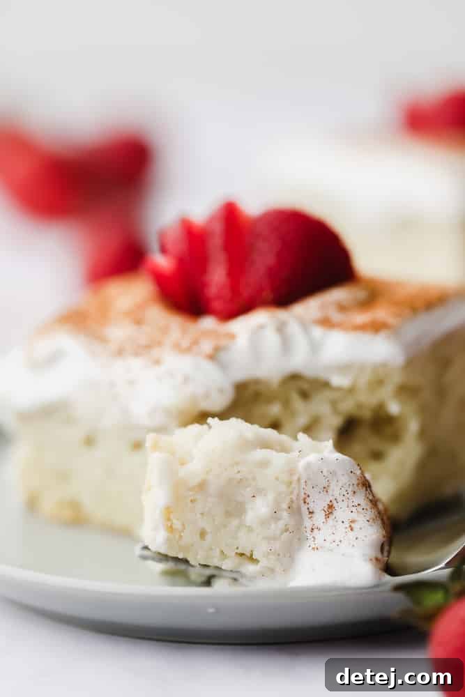 A close-up shot of a single slice of vegan tres leches cake, revealing its perfectly moist, milk-soaked texture and a creamy topping.