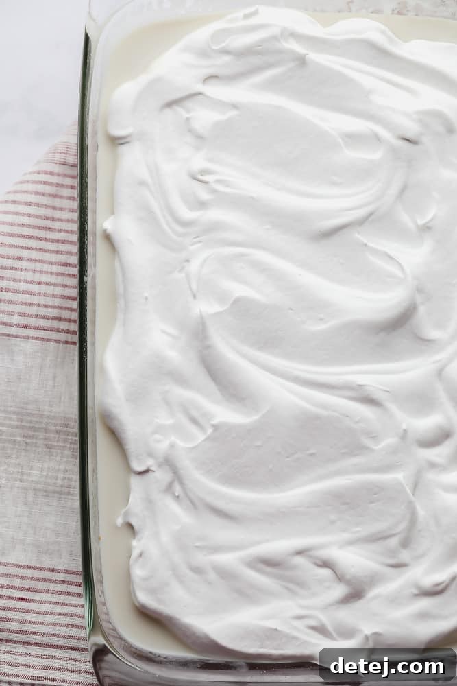 The finished vegan tres leches cake, uniformly covered with a smooth layer of white whipped cream, ready for garnishing.