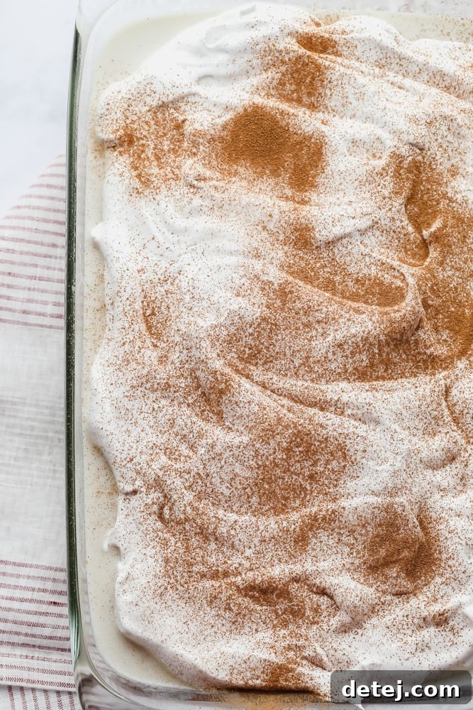 A full view of the vegan tres leches cake, beautifully garnished with a sprinkle of cinnamon and fresh sliced strawberries, ready to be served.