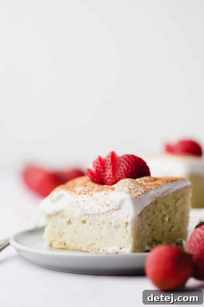 A perfect slice of milk-soaked vegan tres leches cake, elegantly plated with a generous swirl of whipped cream and fresh strawberries.