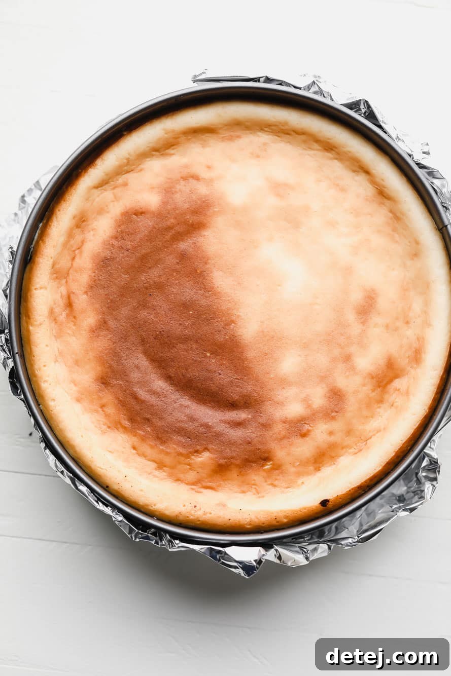 A perfectly baked vegan cheesecake resting in a springform pan, cooling down before chilling.