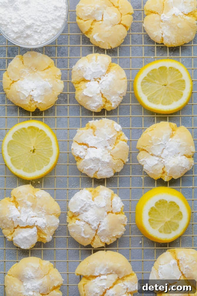 many lemon crinkle cookies on a baking sheet with grey background
