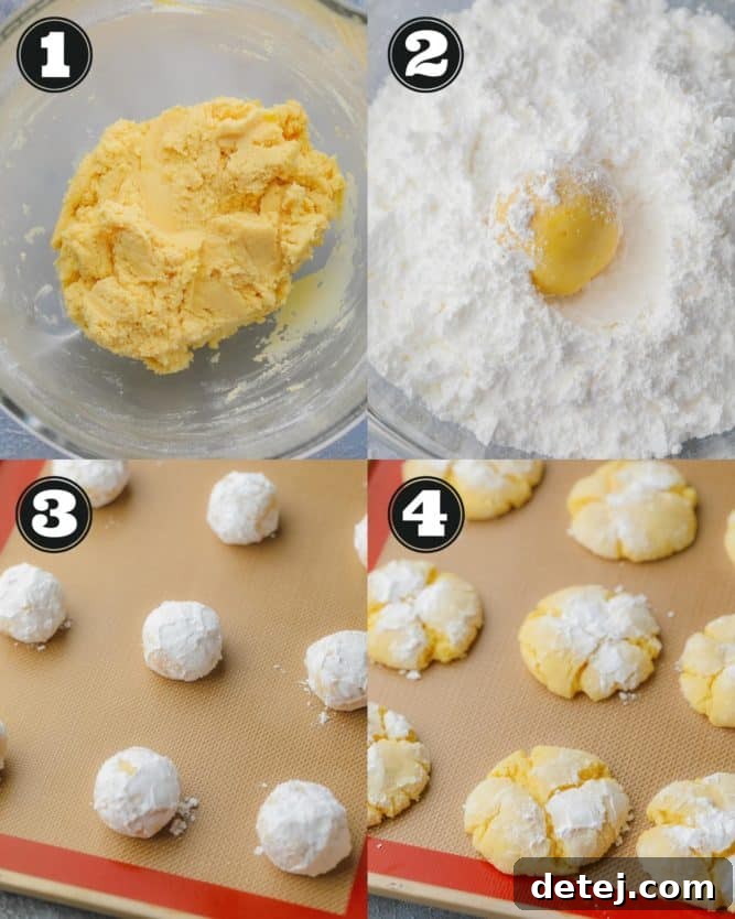 collage of how to make cookie dough and roll in powdered sugar then bake