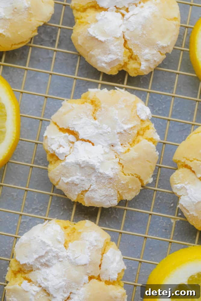 yellow crinkle cookie with powdered sugar and grey background