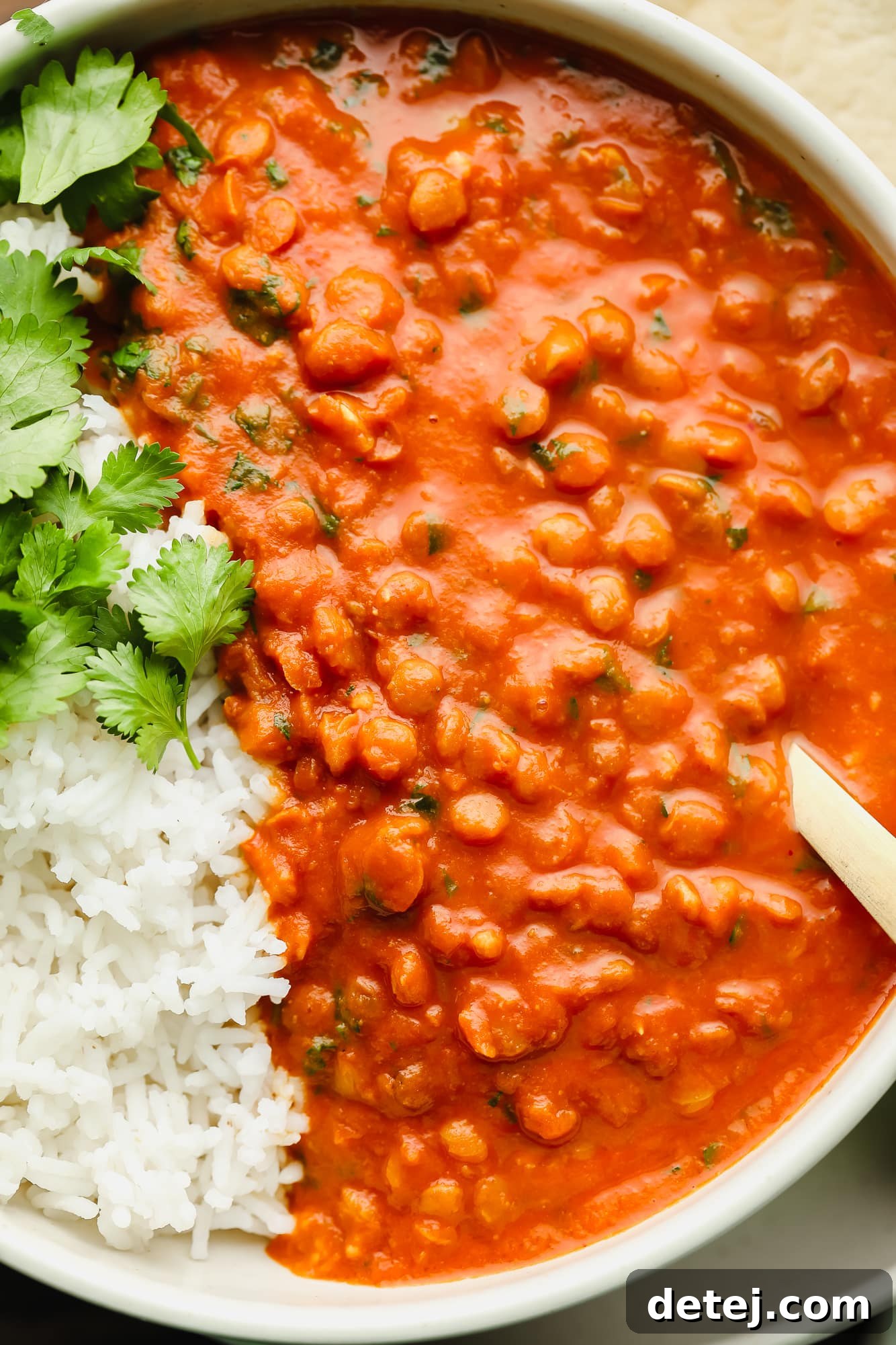 A close-up view of lentil curry with white rice in a pristine white bowl, highlighting its rich texture and vibrant color.