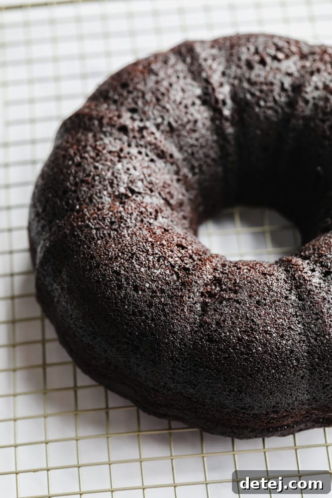 Unfrosted chocolate vegan bundt cake resting on a cooling rack