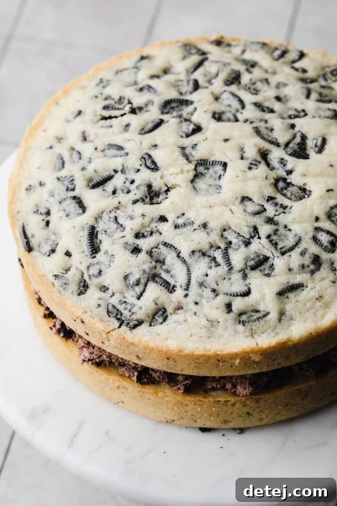 two layers of oreo cake on marble cake stand without frosting.
