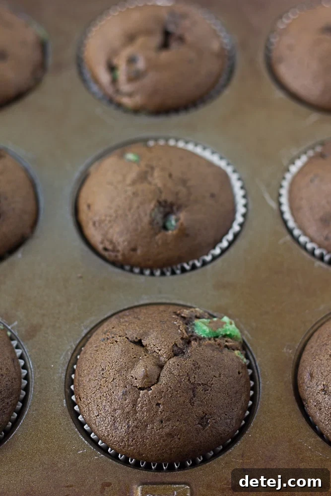 A baking pan filled with unfrosted, freshly baked chocolate cupcakes, ready to be adorned with frosting. The deep brown color suggests a rich cocoa flavor.