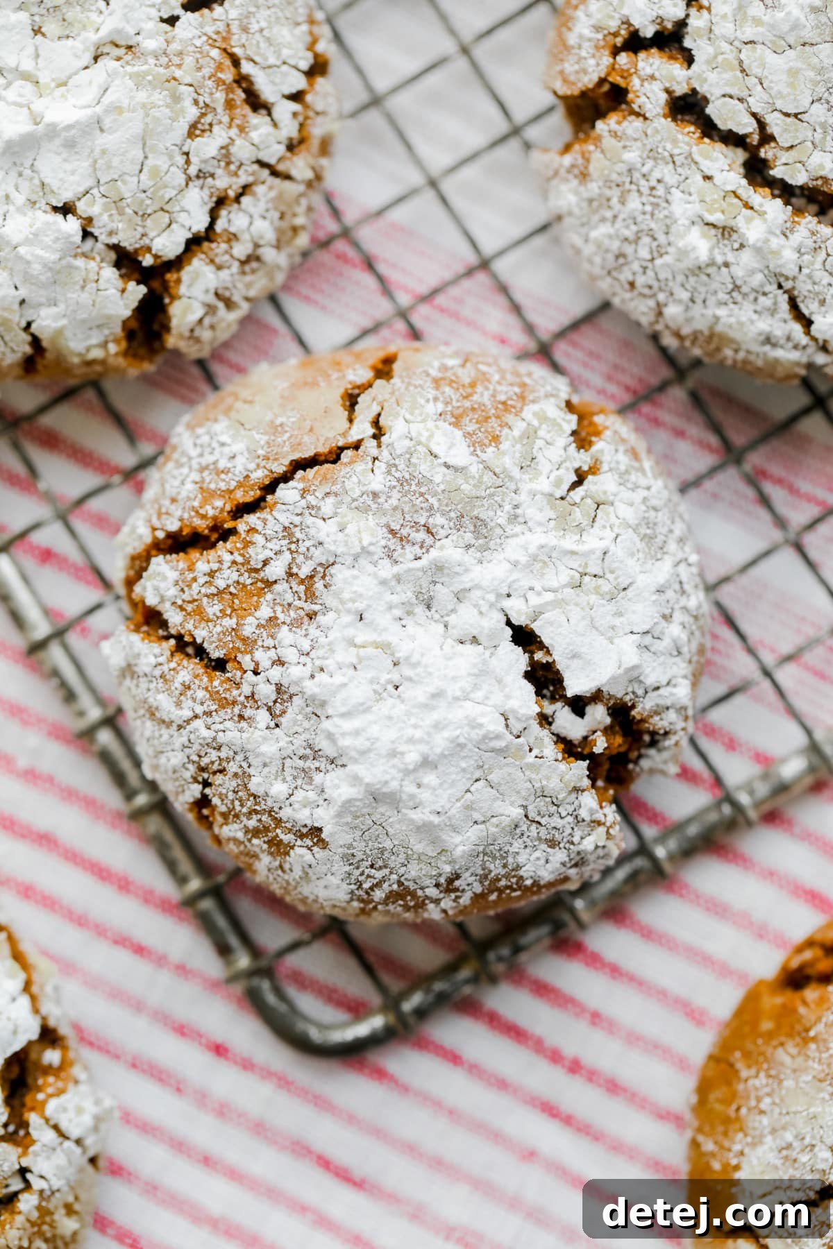 Two ginger crinkle cookies with powdered sugar and visible crinkles, against a festive red and white striped towel background.