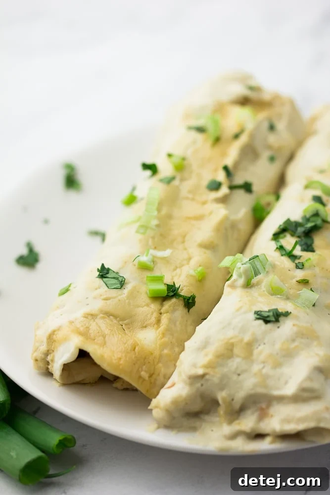 Two perfectly rolled dairy-free enchiladas on a white plate, ready to be served.