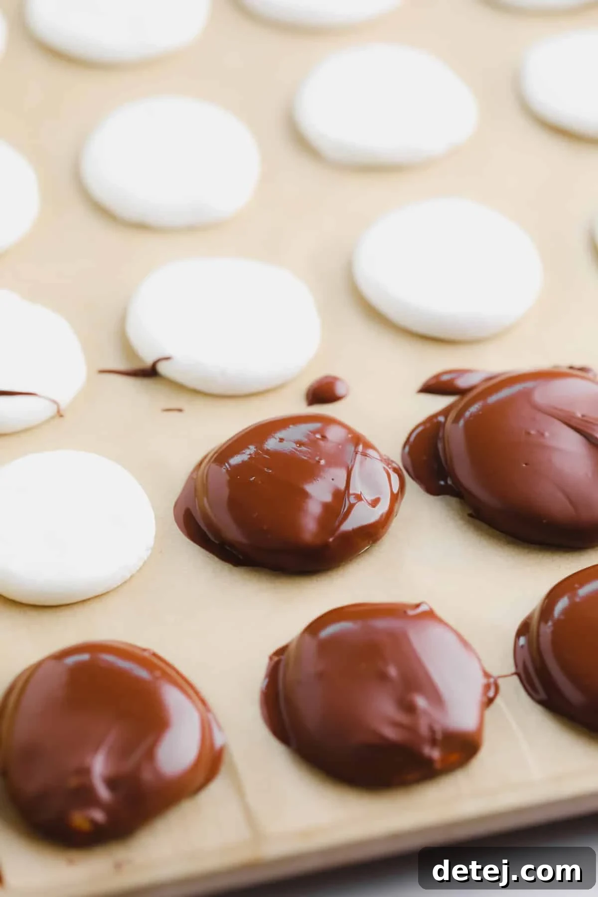 Freshly coated chocolate-dipped white peppermint discs arranged on a parchment-lined baking sheet, chilling to set.