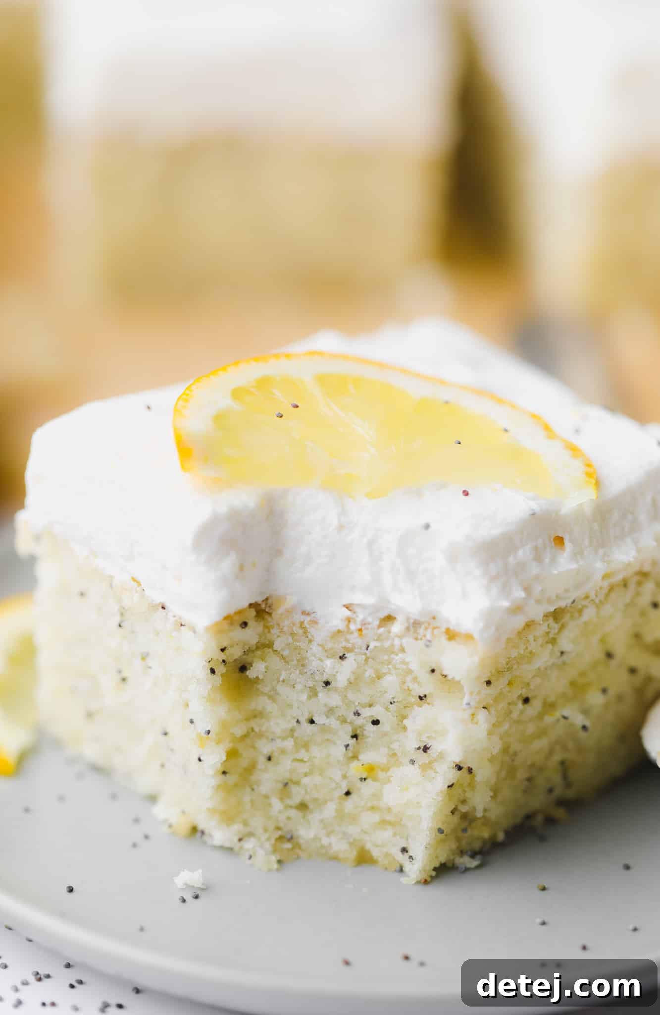 A tantalizing piece of vegan lemon poppyseed cake, with a small bite missing, artfully placed on a chic grey plate.