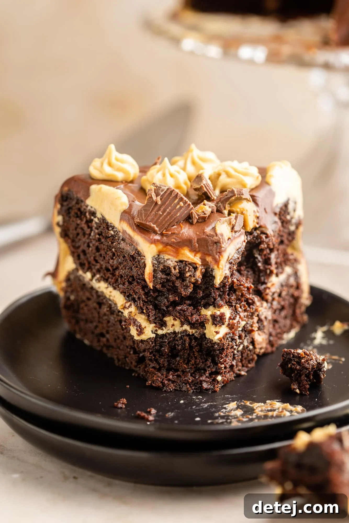 Decadent Chocolate Peanut Butter Dream 9 close up on a slice of chocolate peanut butter cake on a black plate.