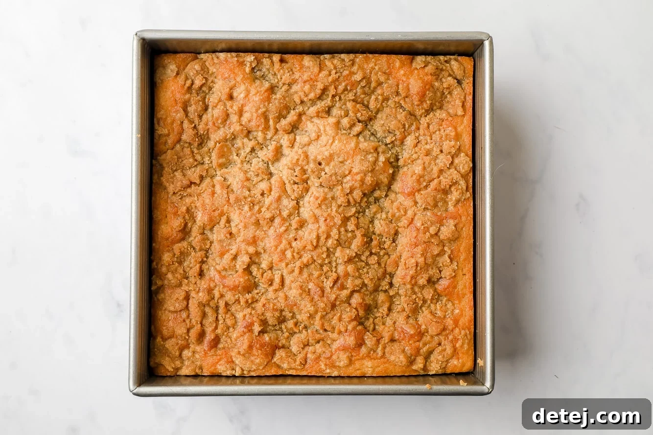 baked blueberry coffee cake in a square baking pan.