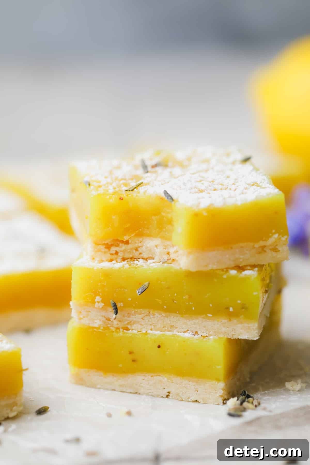 A beautifully composed stack of three vegan lavender lemon bars, showing off their distinct layers and powdered sugar dusting, set against a stylish grey background.
