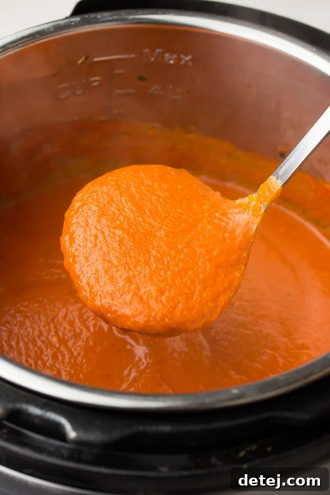 ladle holding rich, red tomato soup out of an Instant Pot