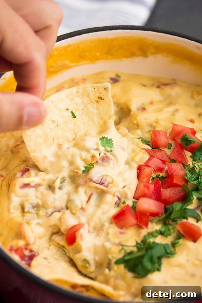 Creamy 5 Ingredient Vegan Queso in a bowl with tortilla chips.