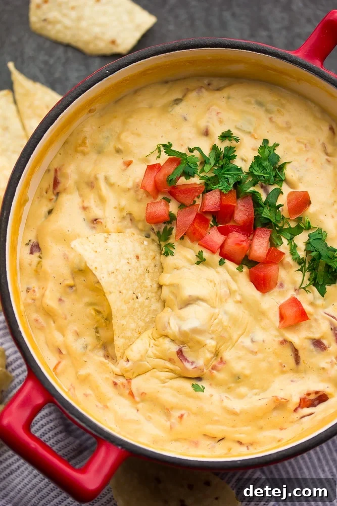 Another view of the creamy 5 Ingredient Vegan Queso.