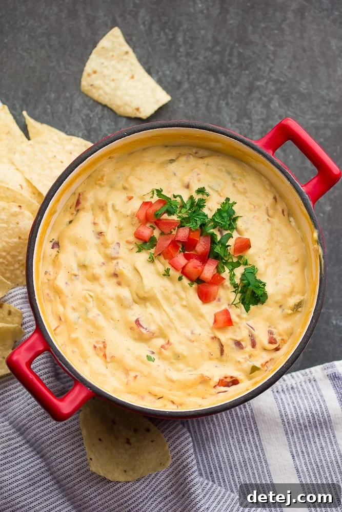 Close-up of the smooth and creamy vegan queso.