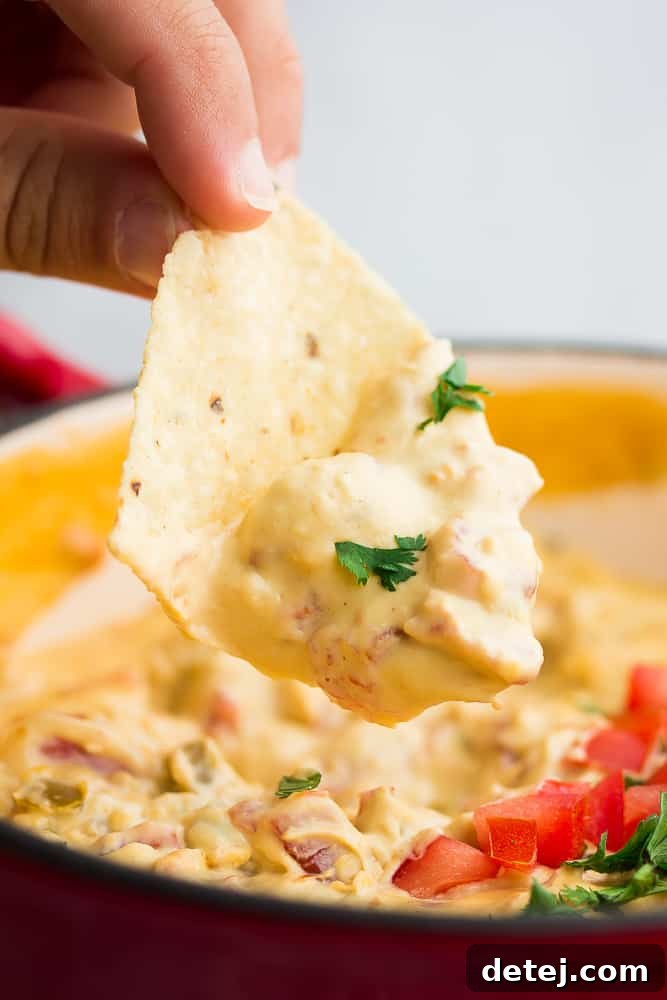 Bowl of vegan queso with a chip dipped in it, garnished with cilantro.