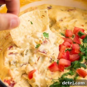 Tortilla chip dipped in vegan queso with tomatoes and cilantro on top
