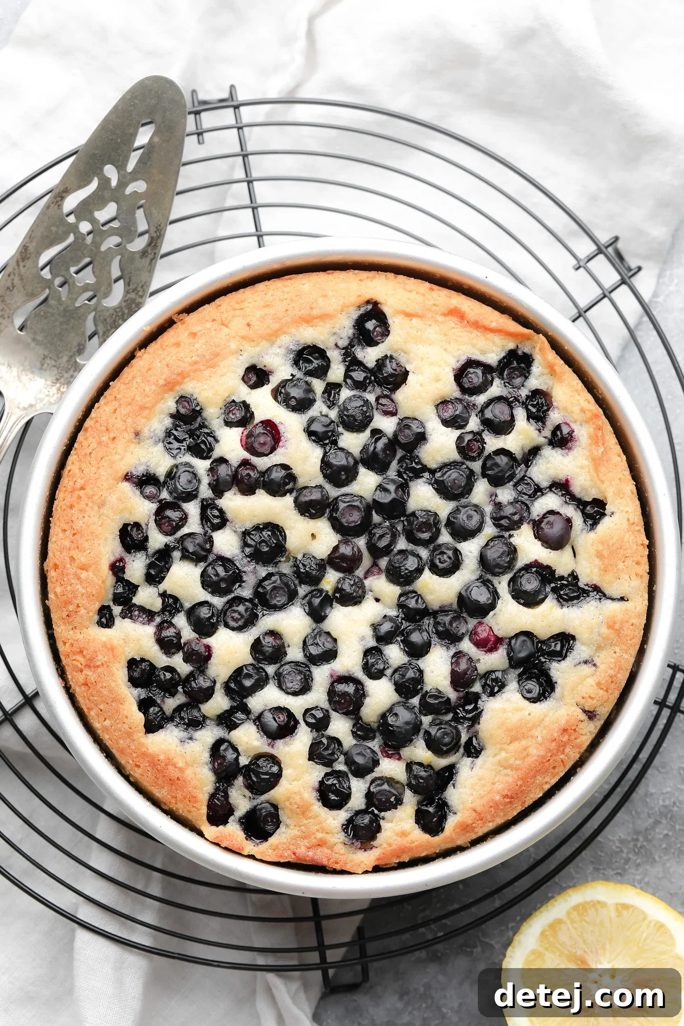 a baked vegan blueberry cake in a round metal pan.