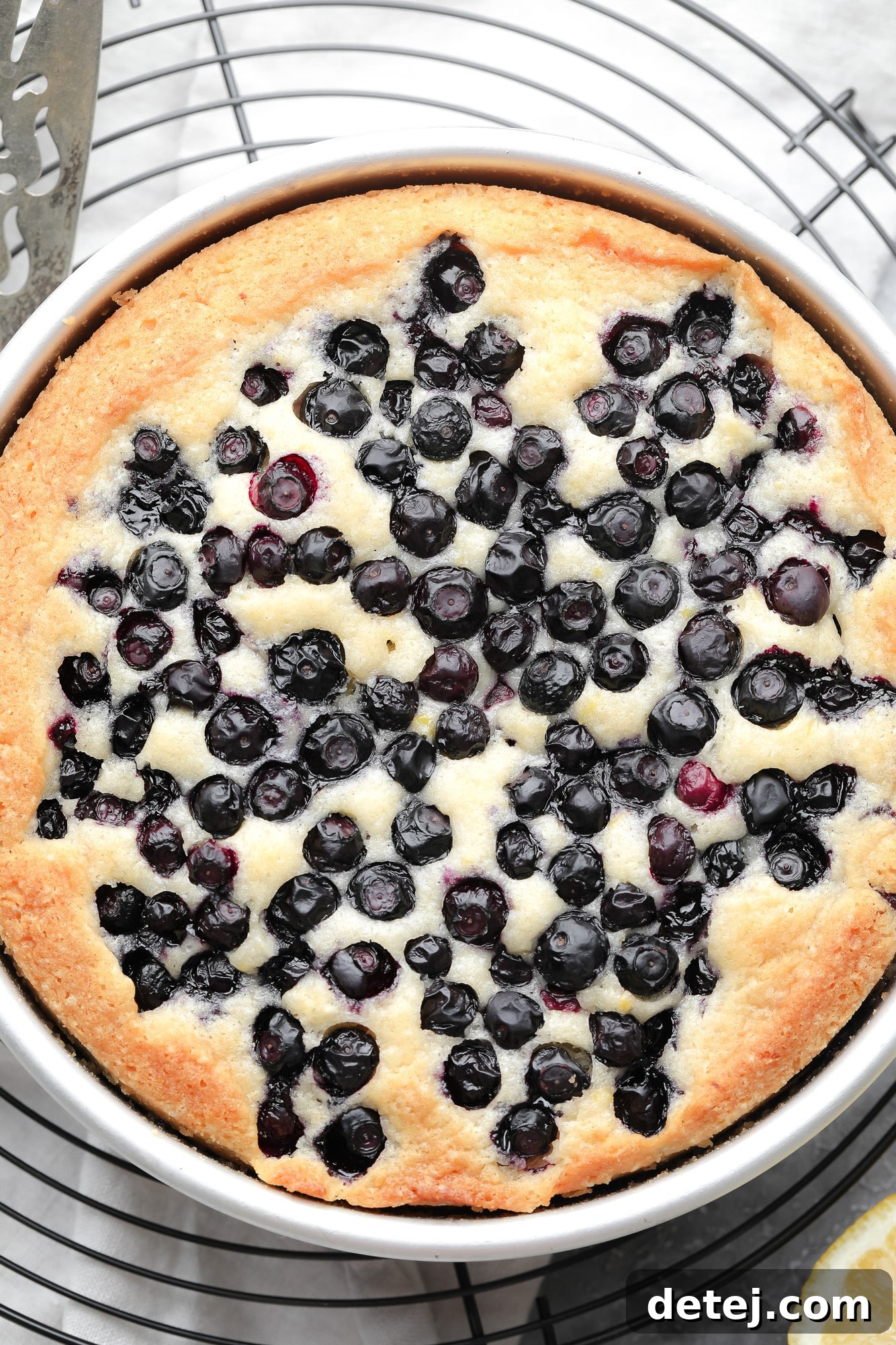 a baked vegan blueberry cake in a round metal pan.