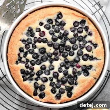 a baked vegan blueberry cake in a round metal pan.