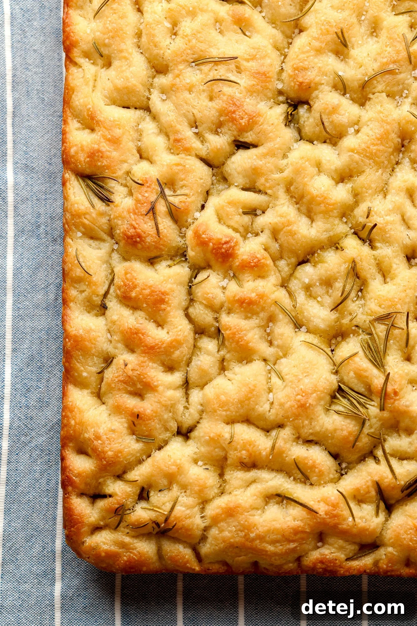 Close up on baked vegan focaccia, showing the golden-brown crust, olive oil sheen, and fresh rosemary.