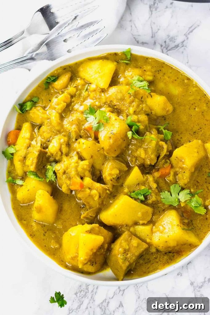 25 Effortless Vegetarian Instant Pot Creations 13 Instant Pot Vegan Jackfruit with Potato Curry in a bowl, garnished with cilantro