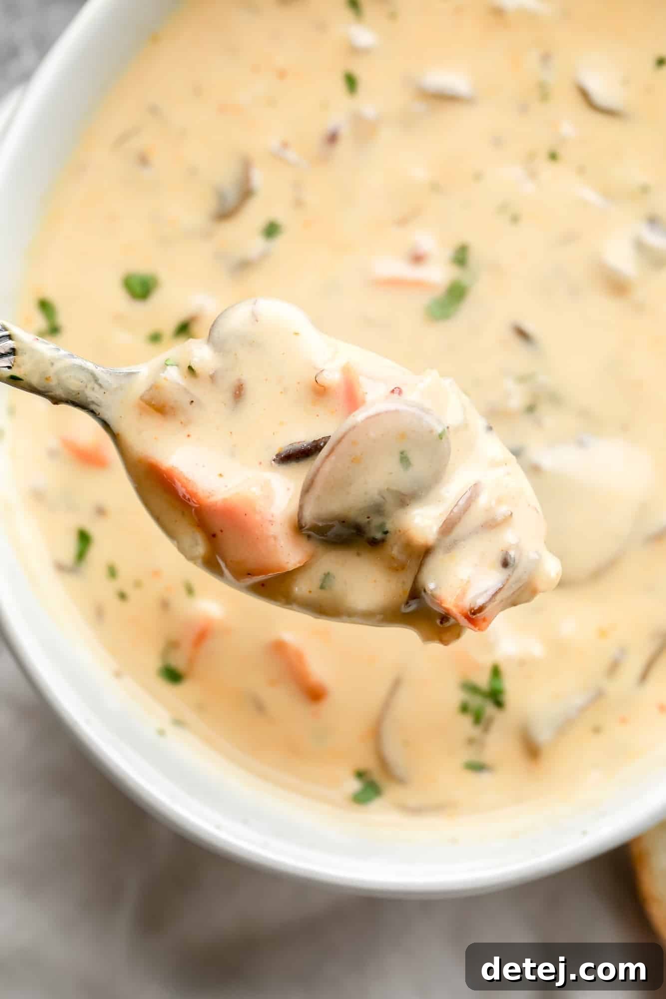 close up on a spoonful of vegan mushroom soup.