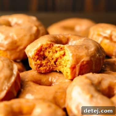 close up on a vegan pumpkin donut with a bite taken out of it.