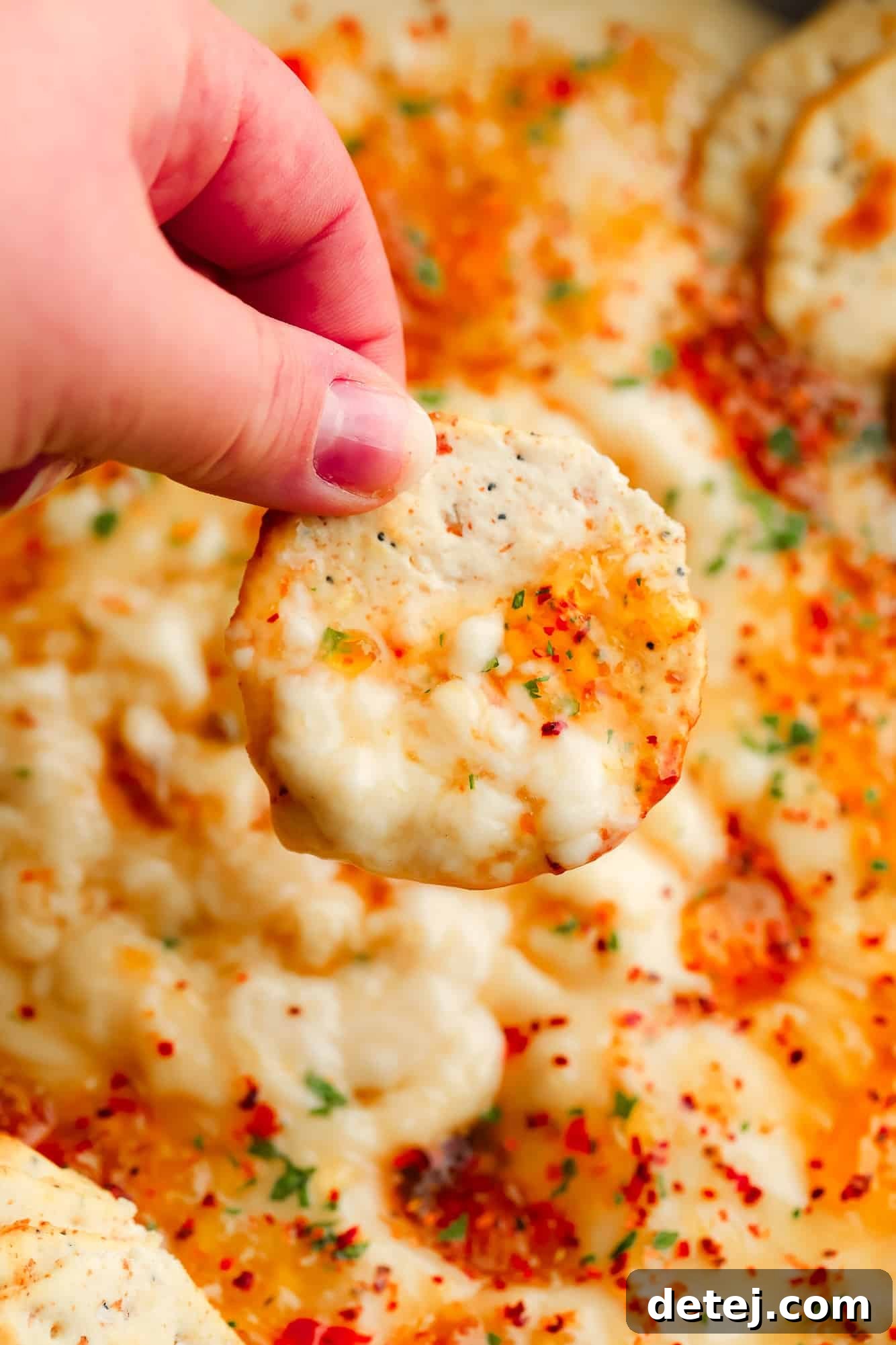A woman's hand holding a cracker generously dipped in luscious baked vegan brie with a vibrant layer of pepper jelly on top, ready to be enjoyed.