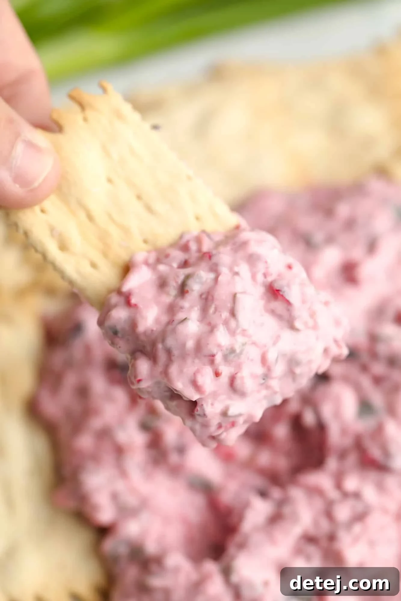 A close-up shot captures a woman's hand gracefully holding a crispy cracker, generously topped with a dollop of the luscious, creamy Cranberry Jalapeno Dip, highlighting its appealing texture and festive color.
