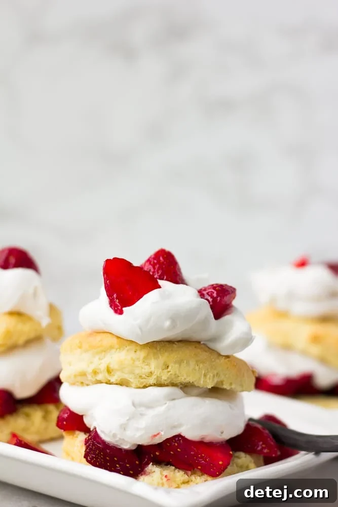 Layered vegan strawberry shortcake with fresh berries and coconut whip